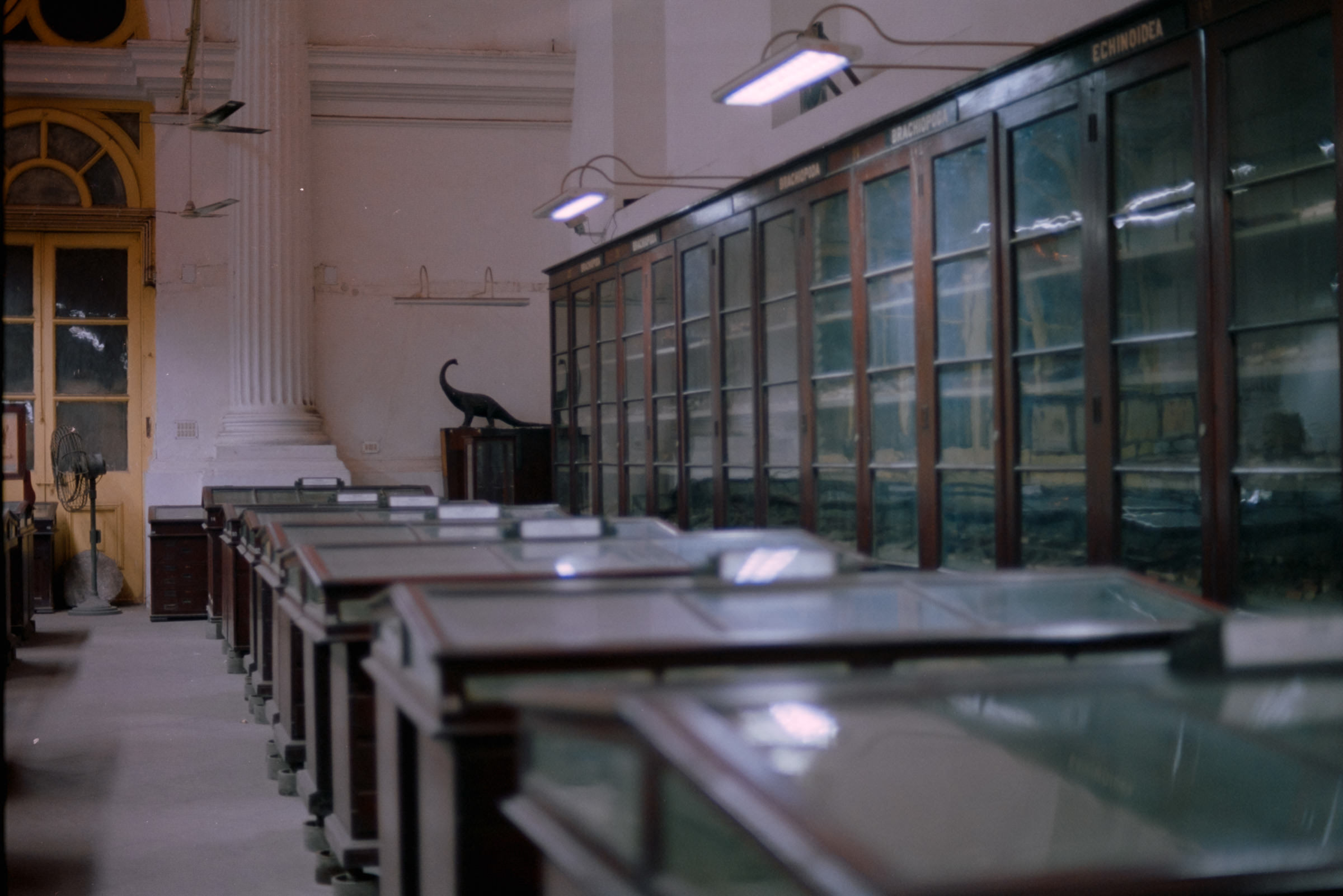 AHP film 2005 01 001 sc240825 img32 NLP